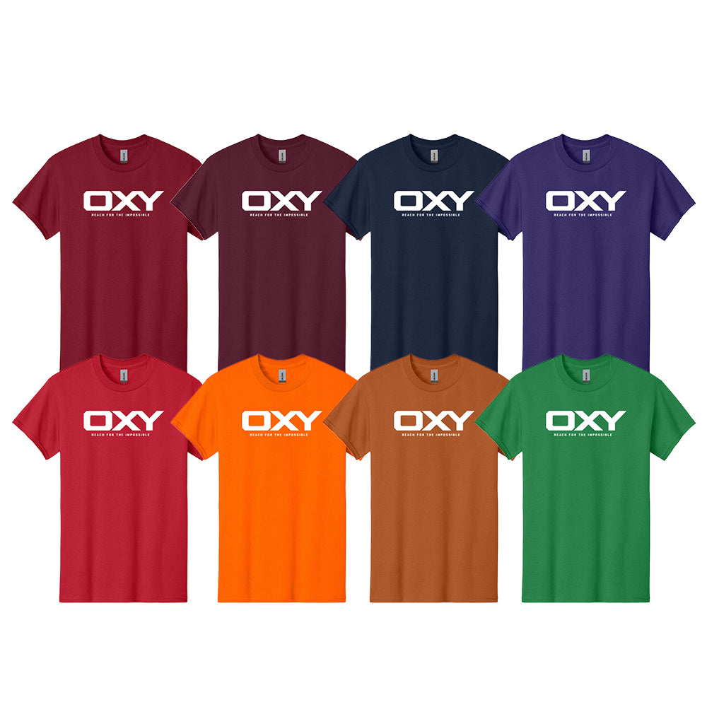Reach for the Impossible - Collegiate Colors T-Shirt