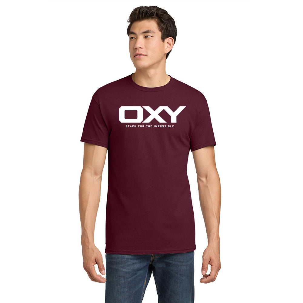 Reach for the Impossible - Collegiate Colors T-Shirt