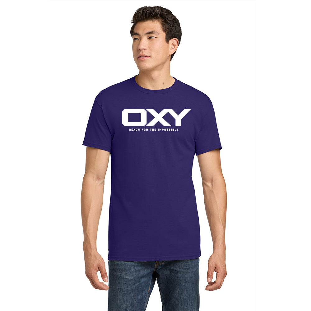 Reach for the Impossible - Collegiate Colors T-Shirt