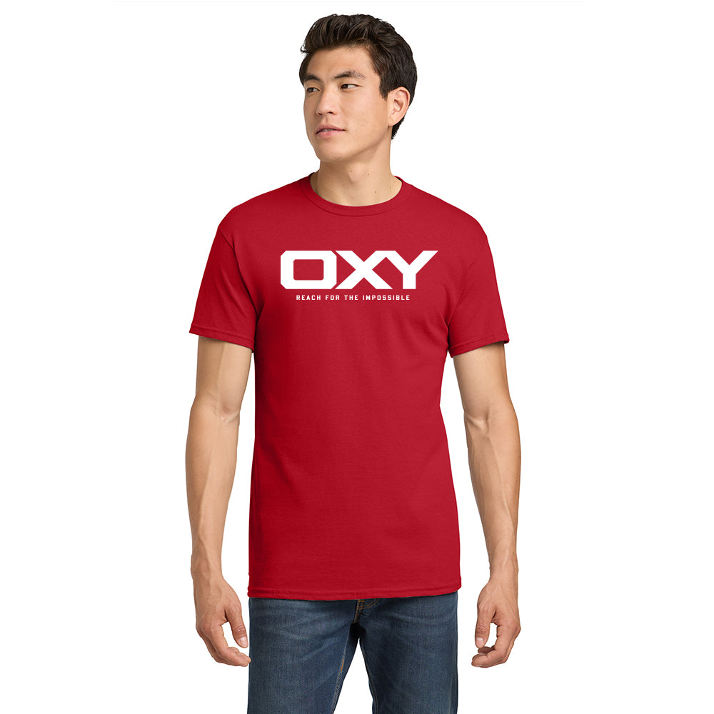 Reach for the Impossible - Collegiate Colors T-Shirt