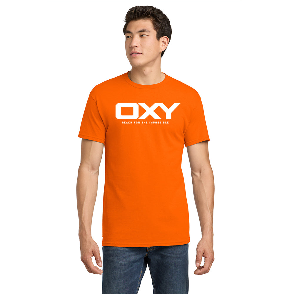 Reach for the Impossible - Collegiate Colors T-Shirt