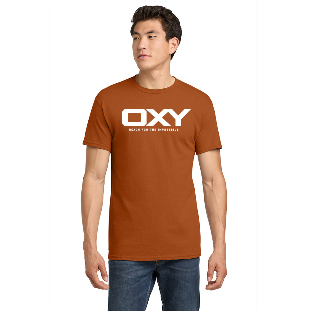 Reach for the Impossible - Collegiate Colors T-Shirt