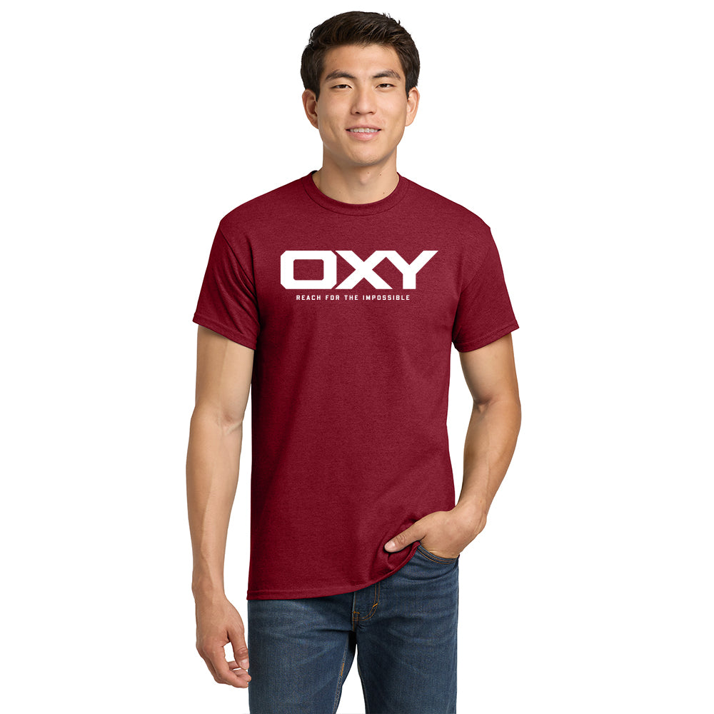 Reach for the Impossible - Collegiate Colors T-Shirt