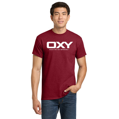 Reach for the Impossible - Collegiate Colors T-Shirt