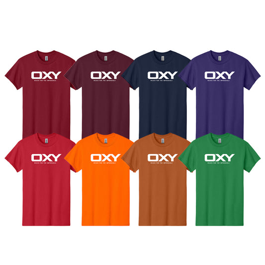 Reach for the Impossible - Collegiate Colors T-Shirt